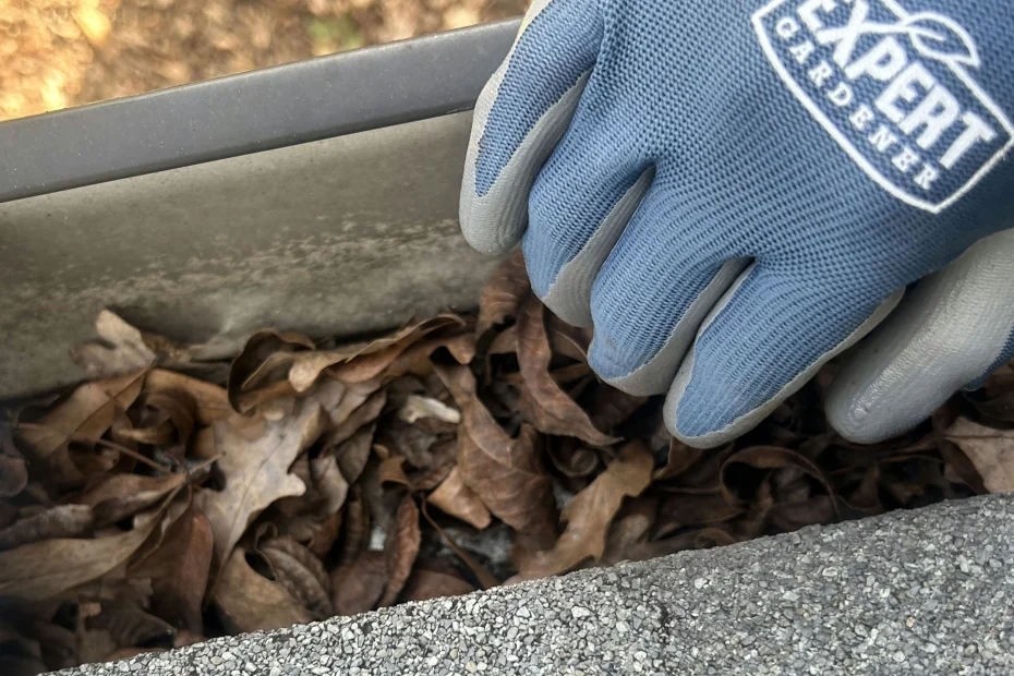 Gutter Cleaning Chattanooga TN