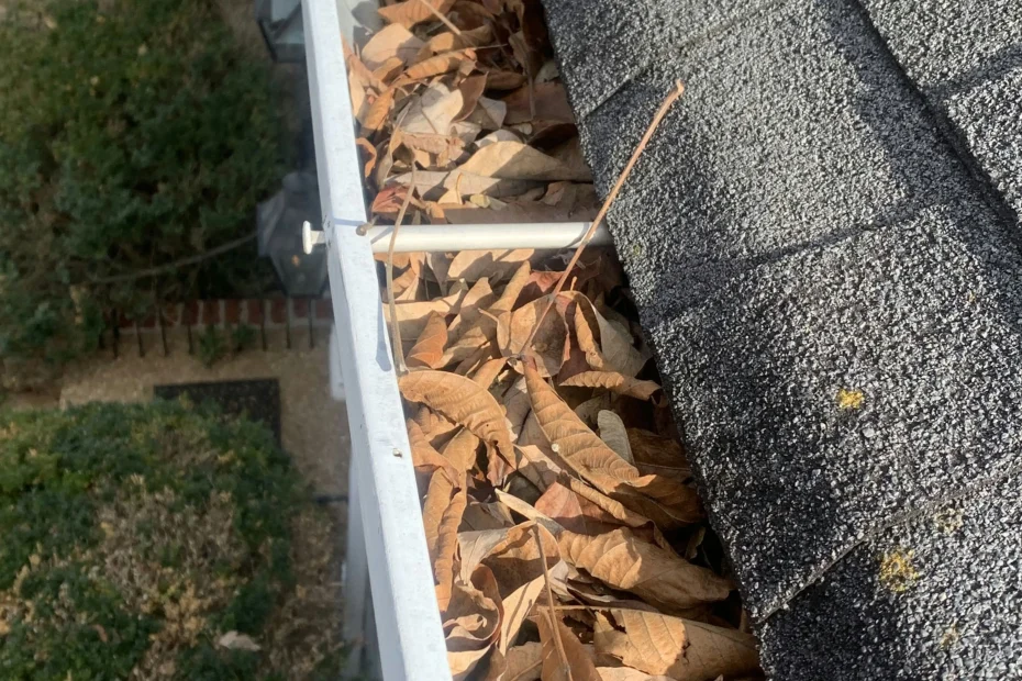 Gutter Cleaning Chattanooga TN